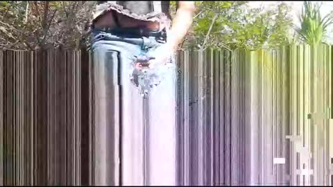 Candi Cakes online show from 4, 3, 2026