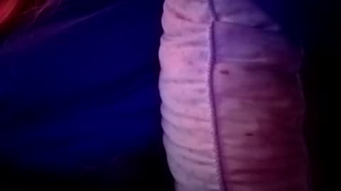 Snapshot of candismiths chatting on 16, 11, 2025 Candi online show from 16, 11, 2025