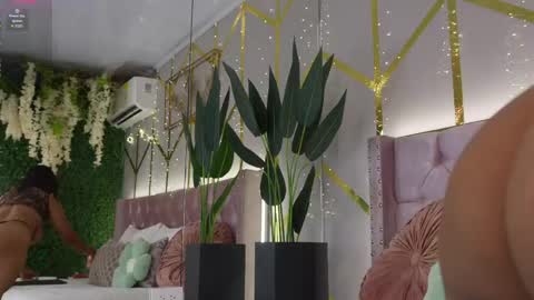 Snapshot of canela_montiel chatting on 3, 6, 2026 canela_montiel online show from 3, 6, 2026
