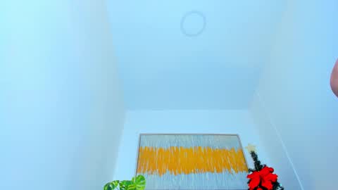 Snapshot of carlota_peach chatting on 8, 1, 2025 Andrea online show from 8, 1, 2025