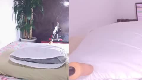 Carol online show from 13, 4, 2026