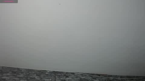 Camelia online show from 17, 11, 2025