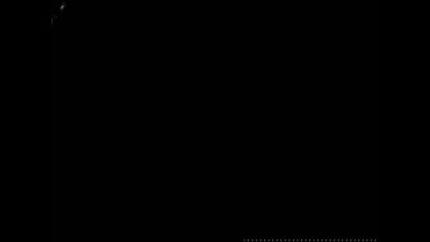 caryb online show from 11, 12, 2024