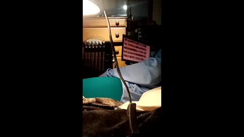 caryb online show from 24, 2, 2026