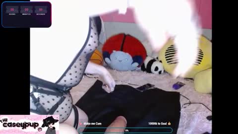 Snapshot of caseypup chatting on 2, 12, 2025 caseypup online show from 2, 12, 2025