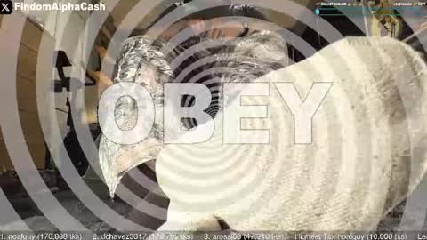 Snapshot of cashmastergrey chatting on 15, 5, 2026 Master Grey online show from 15, 5, 2026