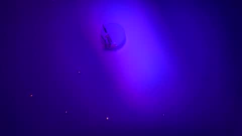 Snapshot of casidy1 chatting on 21, 1, 2025 casidy1 online show from 21, 1, 2025