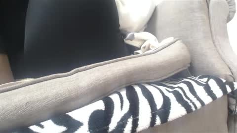 Snapshot of cassandra_joy chatting on 18, 2, 2025 Cassandra joy online show from 18, 2, 2025