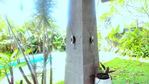 Snapshot of cassie_palmer chatting on 18, 2, 2026 Hello my name is Cassie and my friend Nilo is also here online show from 18, 2, 2026