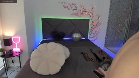 Snapshot of cassieevanss chatting on 4, 2, 2026 Cassie online show from 4, 2, 2026