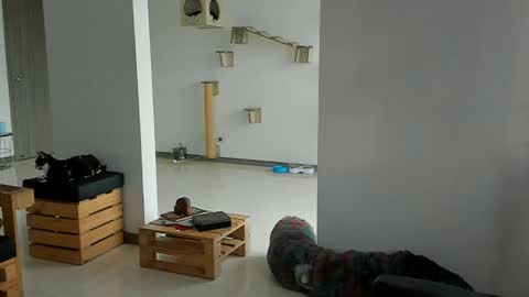 Cassandra online show from 22, 3, 2026