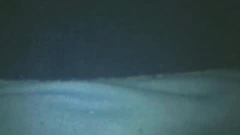 Snapshot of castells chatting on 20, 2, 2025 castells online show from 20, 2, 2025