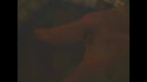 Snapshot of castells chatting on 23, 2, 2025 castells online show from 23, 2, 2025