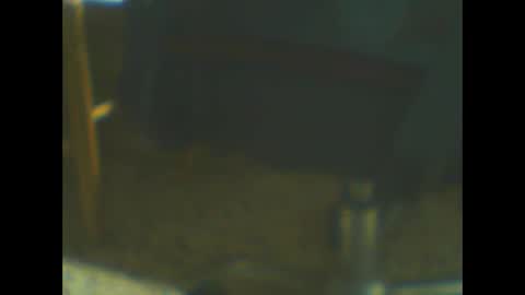 Snapshot of castells chatting on 20, 10, 2025 castells online show from 20, 10, 2025