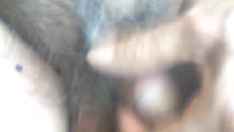 Snapshot of castells chatting on 14, 6, 2026 castells online show from 14, 6, 2026