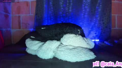 Cata Angel online show from 28, 4, 2026