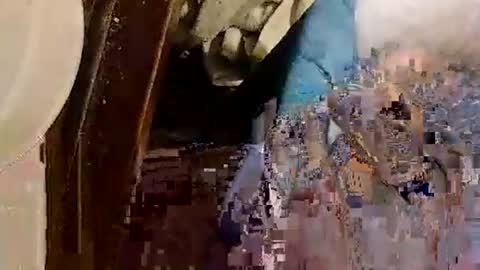 catdaddy179057 online show from 13, 5, 2026