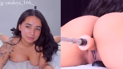 Cattleya Annie  online show from 31, 12, 2024