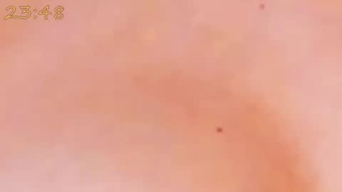 Snapshot of catty_foxx chatting on 25, 1, 2025    online show from 25, 1, 2025