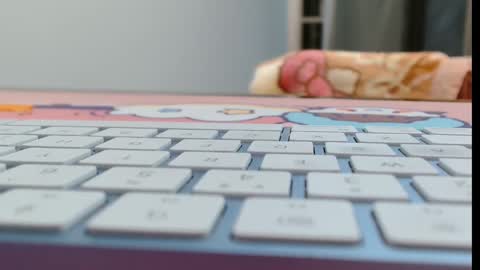 Snapshot of cbz112233 chatting on 16, 2, 2026 ANNYANNY online show from 16, 2, 2026