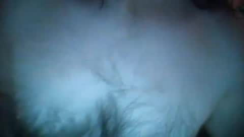 Snapshot of ch4turguy chatting on 4, 3, 2025 ch4turguy online show from 4, 3, 2025