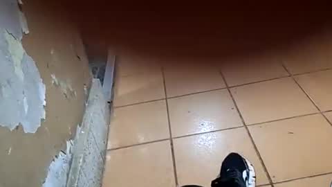 chancherman online show from 10, 1, 2026