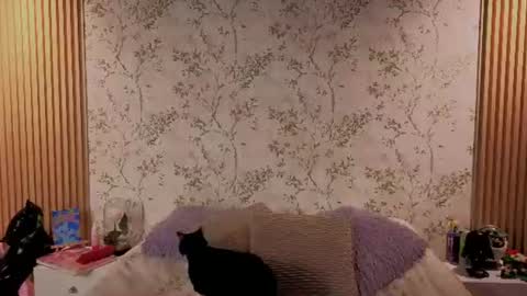 Snapshot of charlote__miller chatting on 14, 7, 2026 You honey online show from 14, 7, 2026