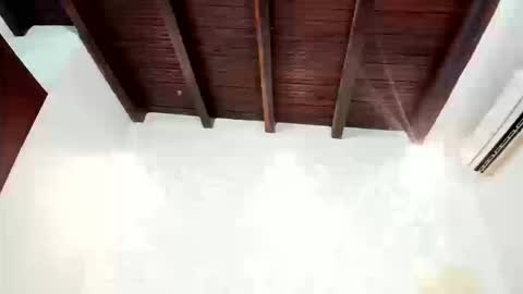 Charlot  online show from 11, 3, 2026