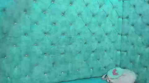 charlottestuart_ online show from 13, 3, 2026