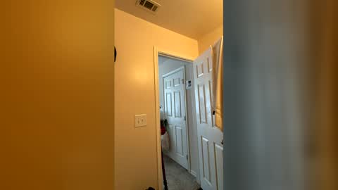 Chase2Attract online show from 4, 3, 2026