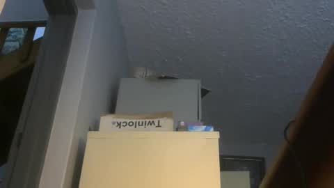 chaturbatordeluxe online show from 17, 11, 2025