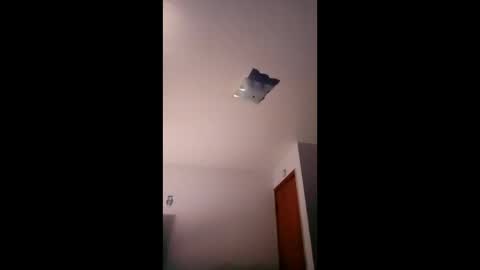 cheeze111 online show from 29, 4, 2026