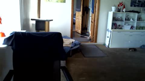 chefben666 online show from 31, 3, 2026