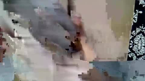 Keve Meddy online show from 23, 2, 2026