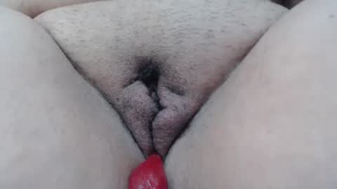 Cheila online show from 10, 1, 2026