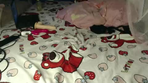 Cherry online show from 17, 4, 2026