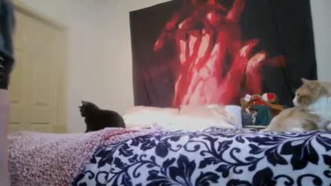 ChinaCove online show from 16, 2, 2026