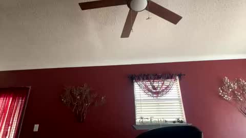 CHINO online show from 17, 2, 2026