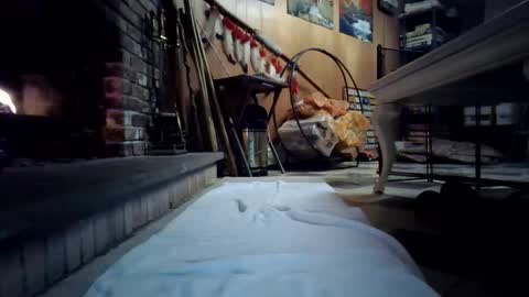 chippy70 online show from 18, 1, 2026