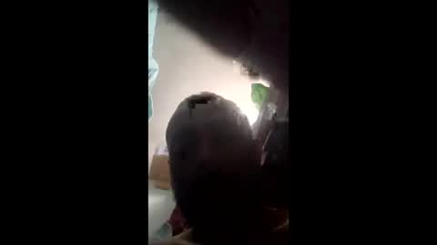 chko76 online show from 6, 4, 2026