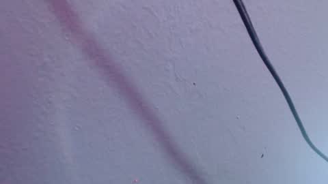 chloe_prg online show from 20, 12, 2024