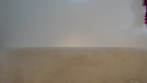 Lofti online show from 3, 4, 2026