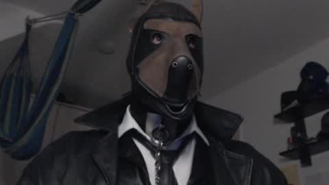 Snapshot of chrisdan_ chatting on 16, 2, 2025 chrisdan_ online show from 16, 2, 2025