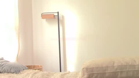 Gwendy Fox online show from 6, 11, 2025