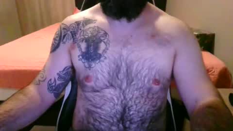 chub bear 99 online show from 31, 5, 2026