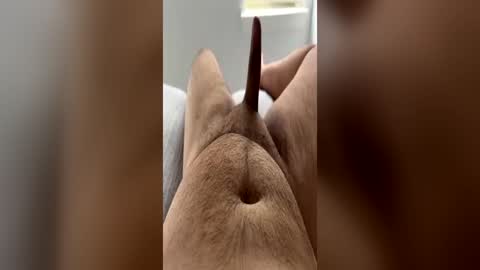 Snapshot of chubbydick9069 chatting on 15, 6, 2026 chubbydick9069 online show from 15, 6, 2026