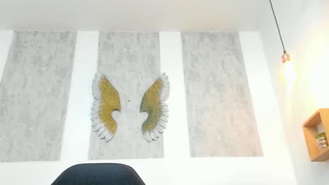 ...   ... online show from 16, 3, 2026