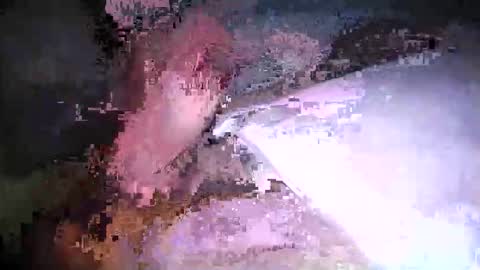 cicuta15 online show from 17, 3, 2026