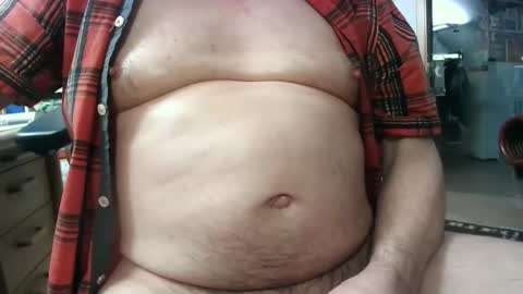 Circus Bear online show from 13, 2, 2025