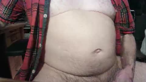 Circus Bear online show from 22, 10, 2025